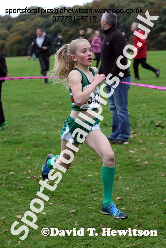 Girls under-13s Northern Cross Country Relays, Graves Park, Sheffield. Photo: David T. Hewitson/Sports for All Pics